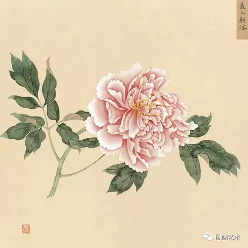丹青妙手寫天香 故宮館藏蔣廷錫《牡丹十六種圖冊(cè)》中的芍藥風(fēng)姿