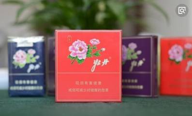 牡丹香韻 紅藍(lán)金紫間的審美對(duì)話