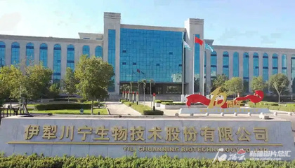 川寧生物創(chuàng)業(yè)板成功上市，引領(lǐng)生物技術(shù)研發(fā)新篇章